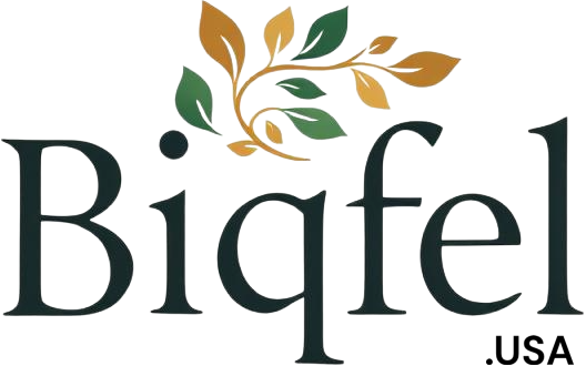 BIQ-FEL  X3 - Image 3